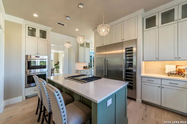 324 Klenin Place Fredericksburg, TX 78624