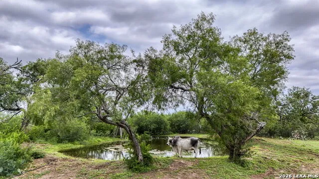 1588 Fm 1470 Poteet, TX 78065