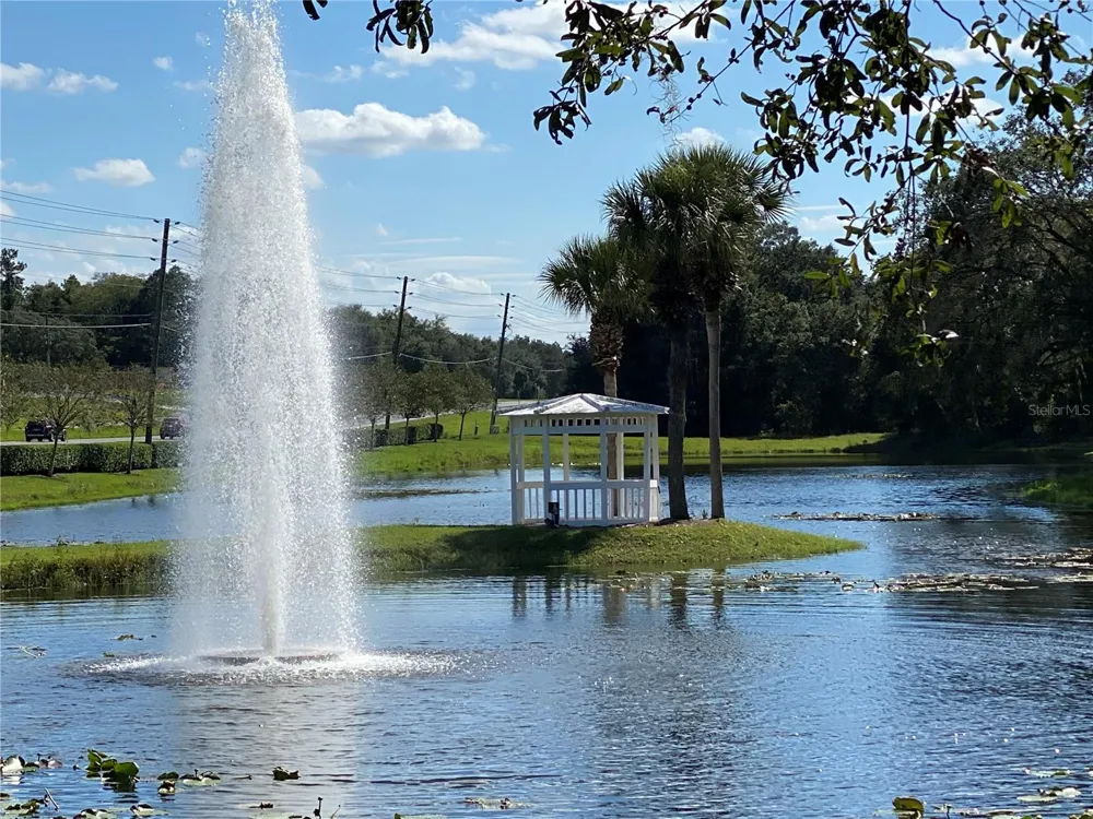 25517 LAUREL VALLEY ROAD Leesburg, FL 34748