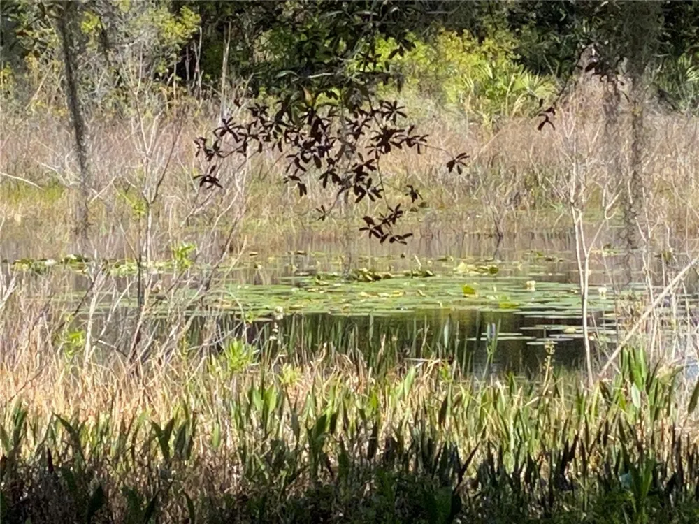 25517 LAUREL VALLEY ROAD Leesburg, FL 34748