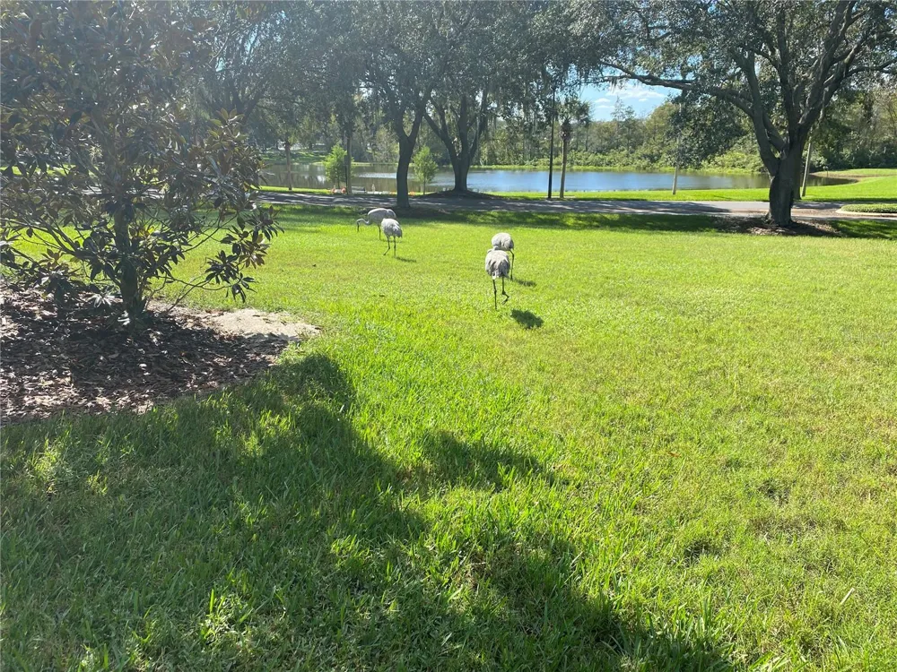 25517 LAUREL VALLEY ROAD Leesburg, FL 34748