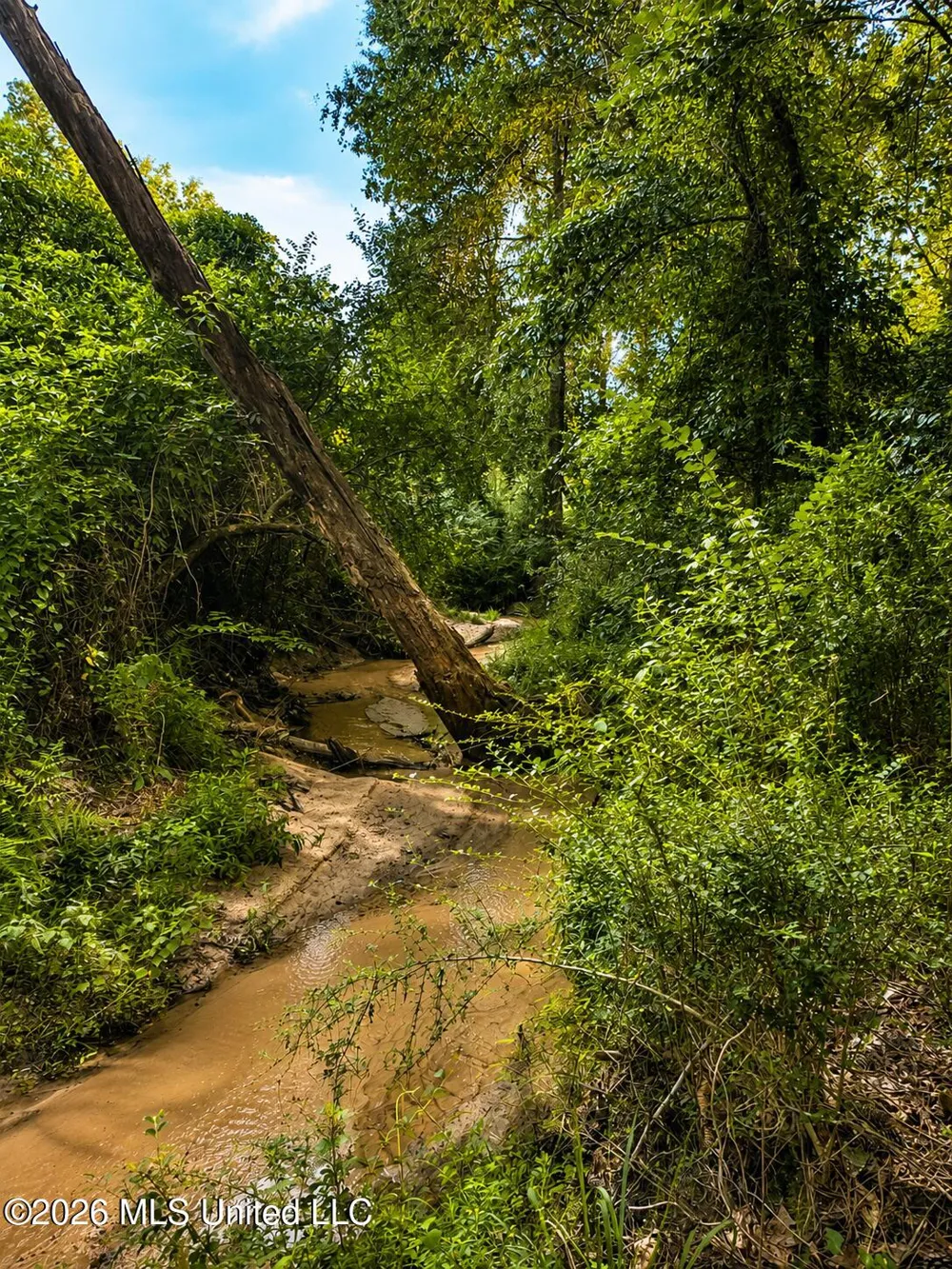 S C Road 77 Raleigh, MS 39153