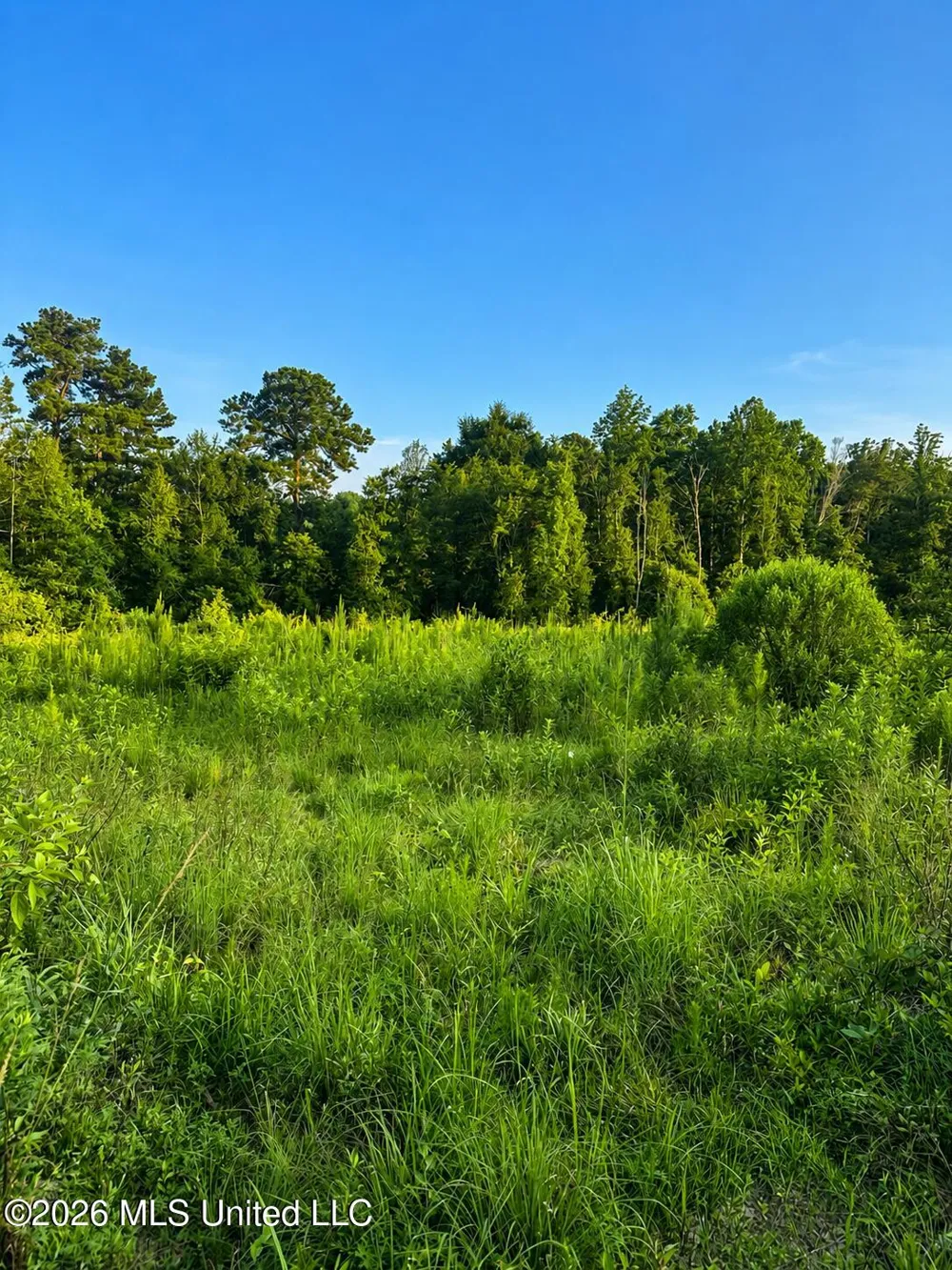 S C Road 77 Raleigh, MS 39153
