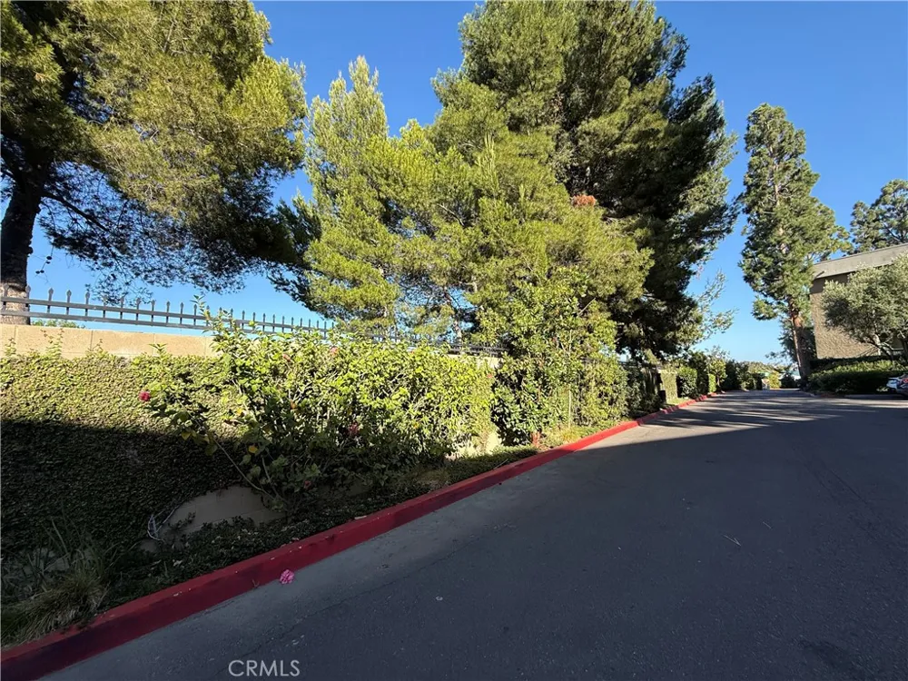 576 Bellflower Long Beach, CA 90814