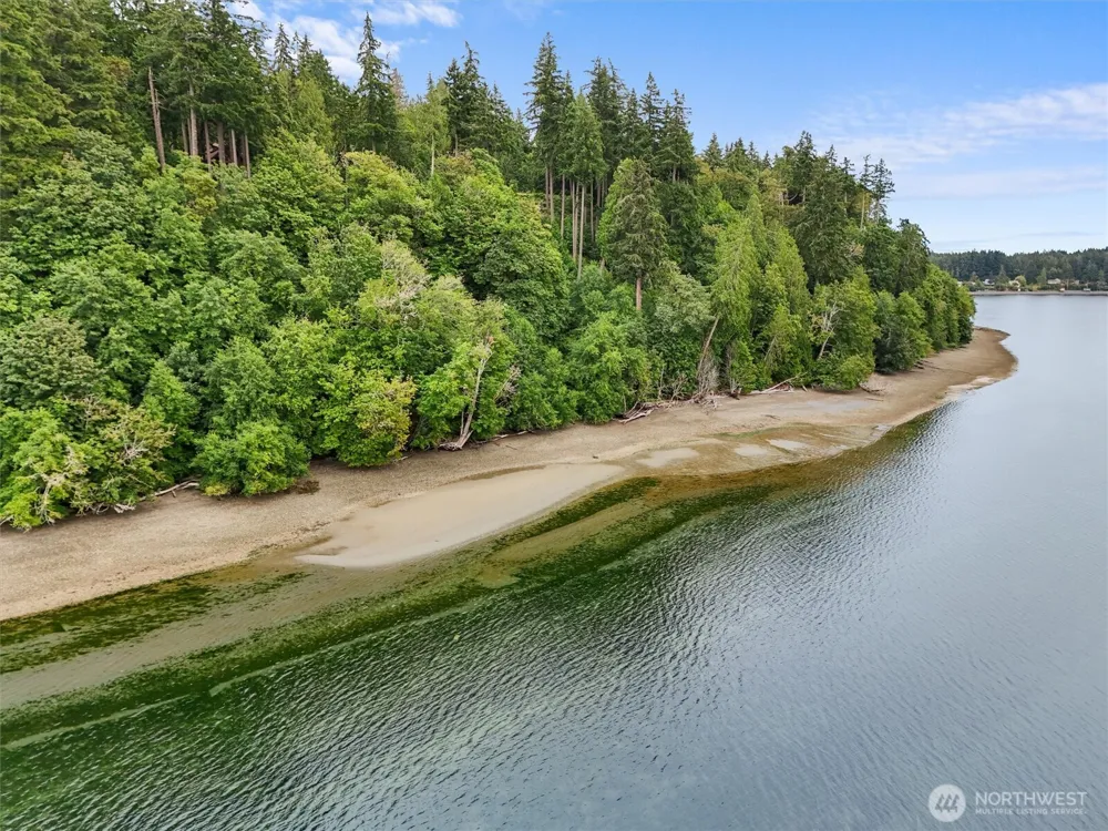 14025 96th Street Ct Anderson Island, WA 98303