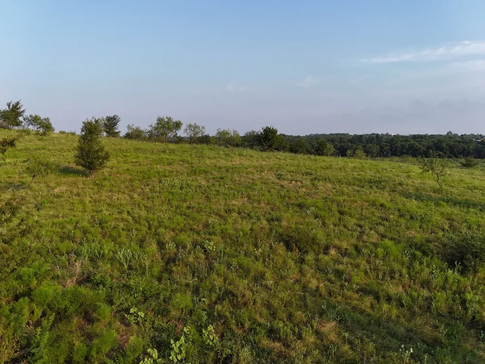 Alsdorf Road Ennis, TX 75119