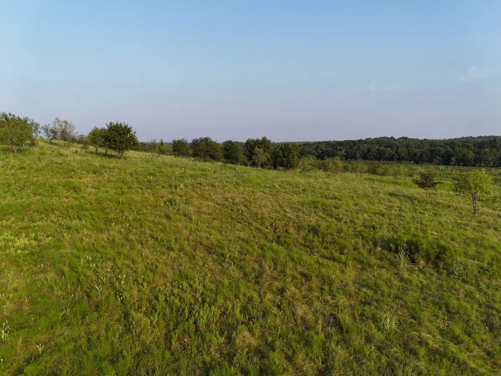 Alsdorf Road Ennis, TX 75119