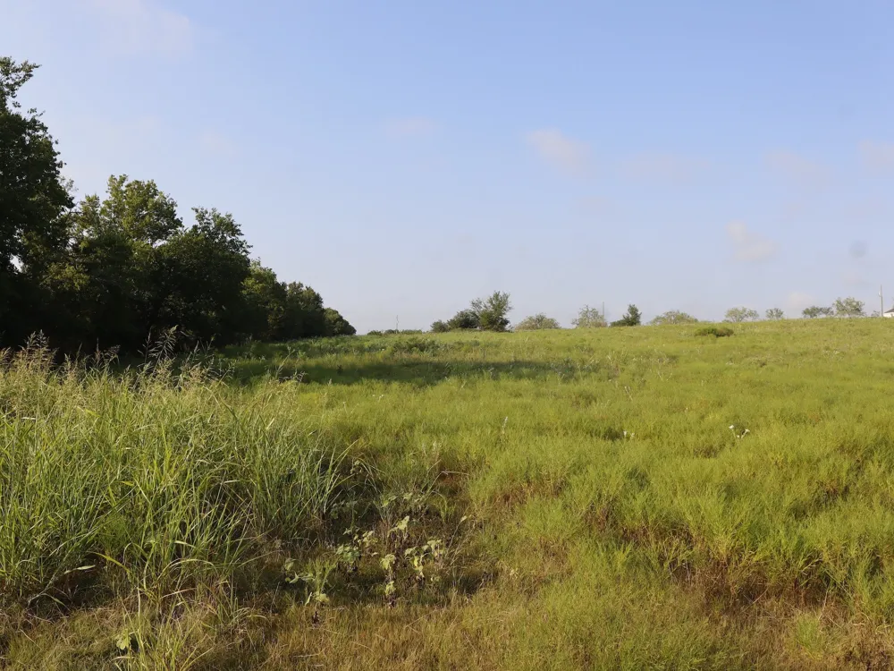 Alsdorf Road Ennis, TX 75119