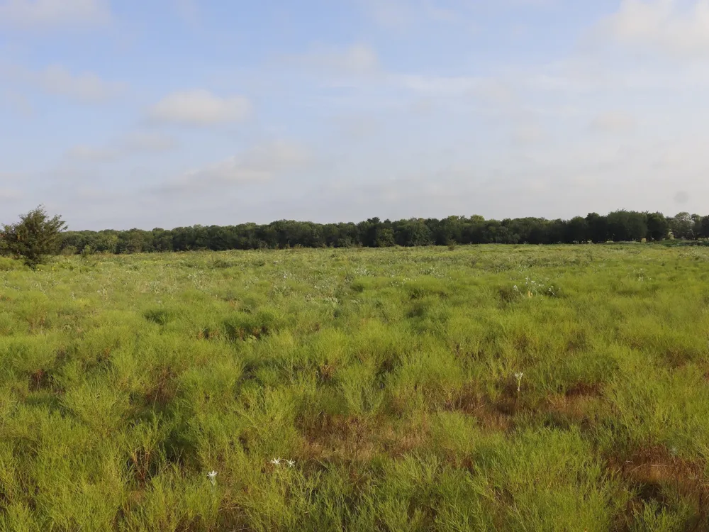 Alsdorf Road Ennis, TX 75119