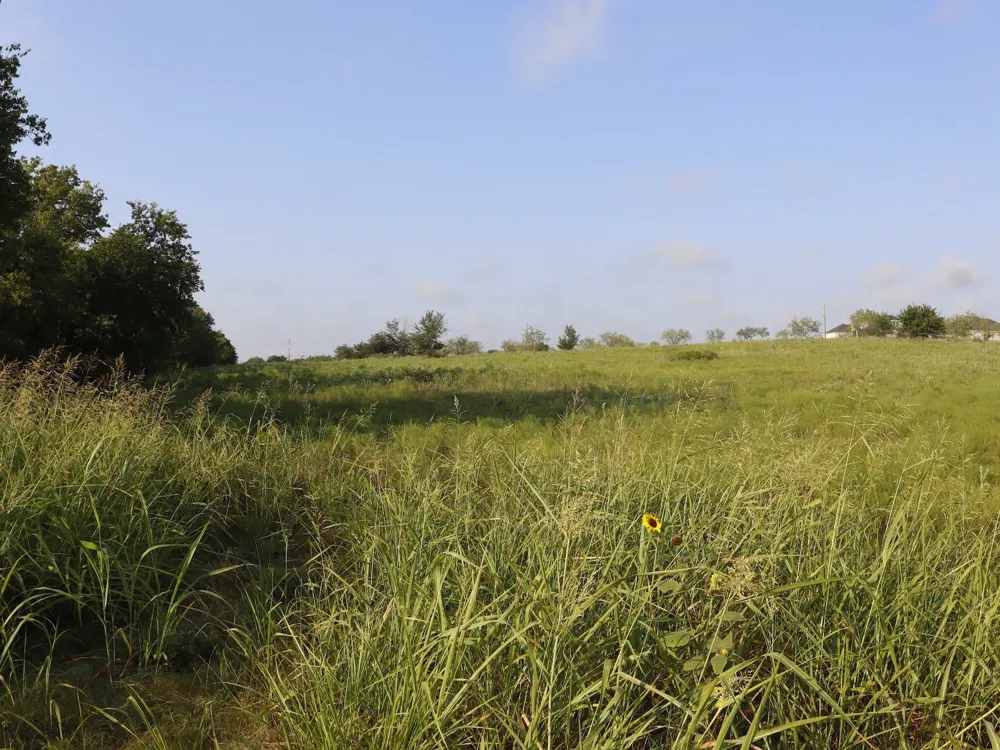 Alsdorf Road Ennis, TX 75119