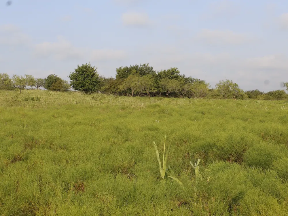 Alsdorf Road Ennis, TX 75119