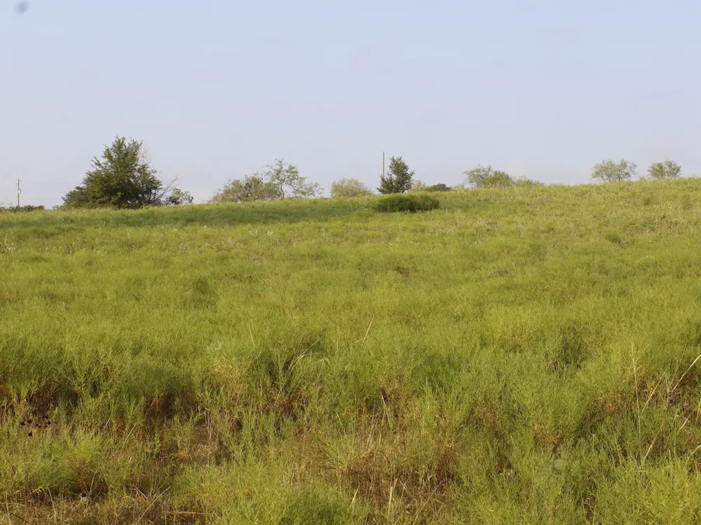 Alsdorf Road Ennis, TX 75119