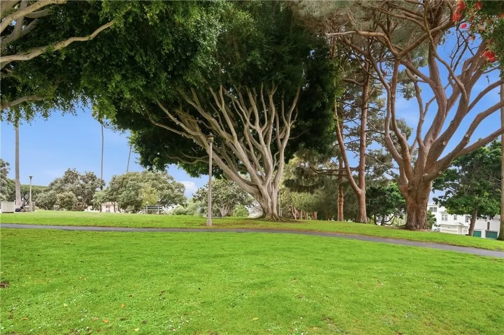 2311 4th Street #106 Santa Monica, CA 90405