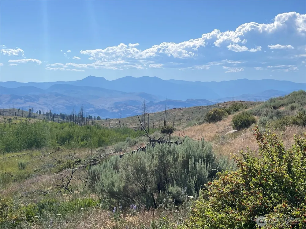 0 Lot 12 Lone Spur Road Oroville, WA 98844