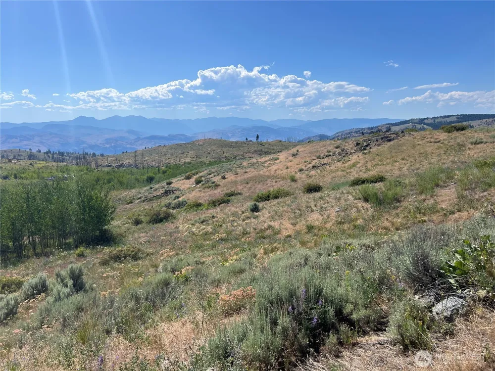 0 Lot 12 Lone Spur Road Oroville, WA 98844