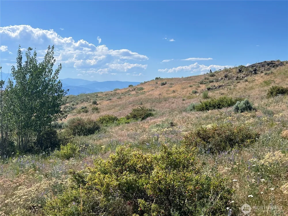 0 Lot 12 Lone Spur Road Oroville, WA 98844