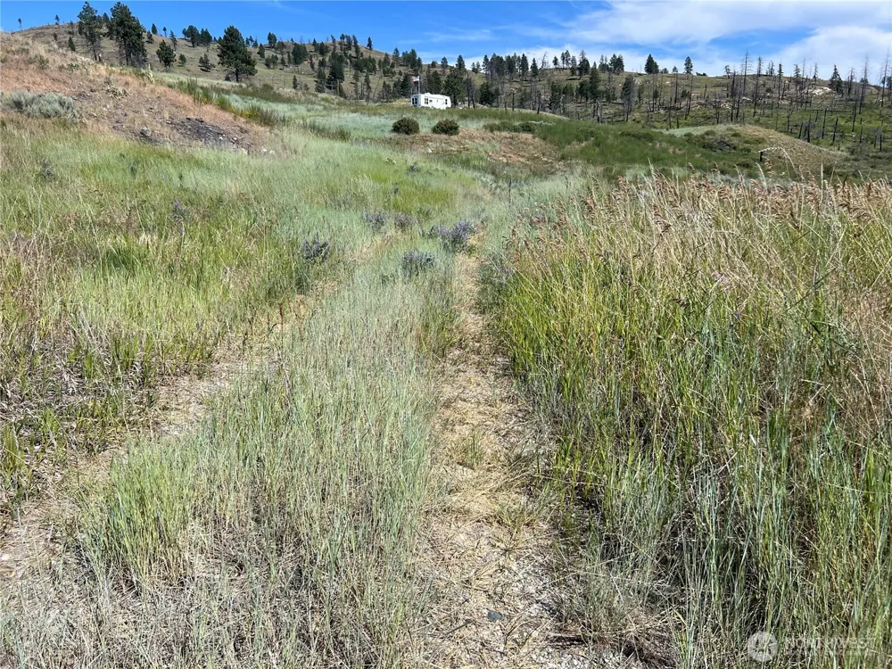 0 Lot 12 Lone Spur Road Oroville, WA 98844