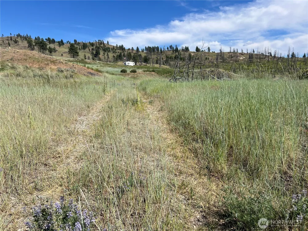 0 Lot 12 Lone Spur Road Oroville, WA 98844