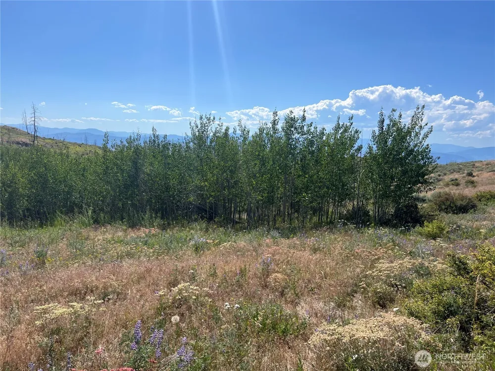 0 Lot 12 Lone Spur Road Oroville, WA 98844