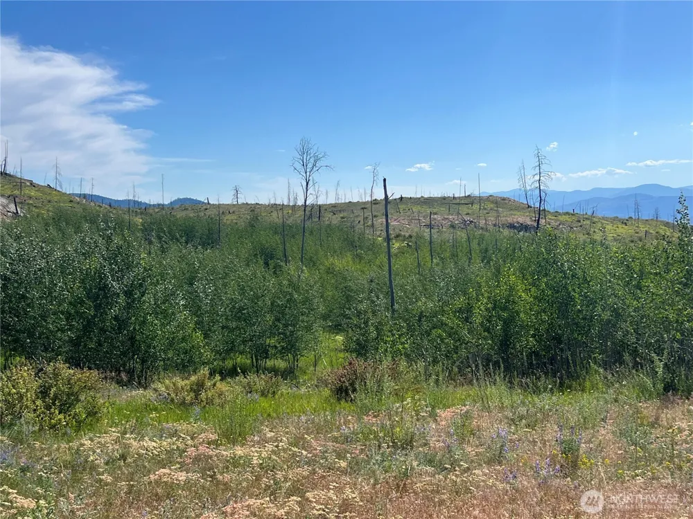 0 Lot 12 Lone Spur Road Oroville, WA 98844