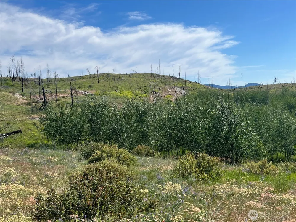 0 Lot 12 Lone Spur Road Oroville, WA 98844