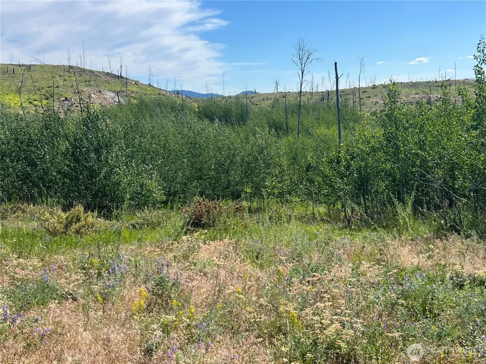 0 Lot 12 Lone Spur Road Oroville, WA 98844