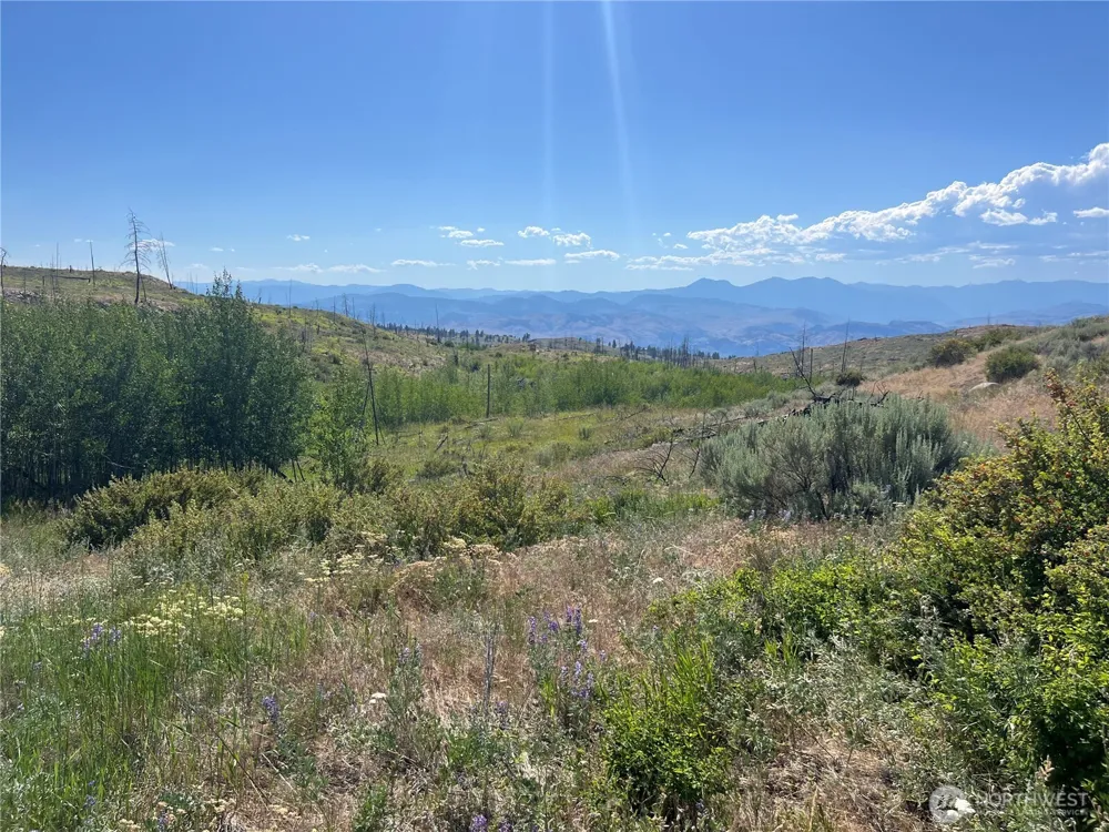 0 Lot 12 Lone Spur Road Oroville, WA 98844
