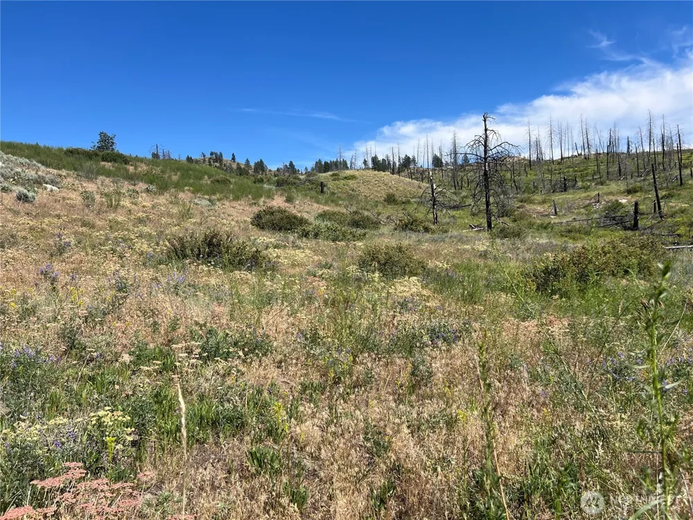 0 Lot 12 Lone Spur Road Oroville, WA 98844