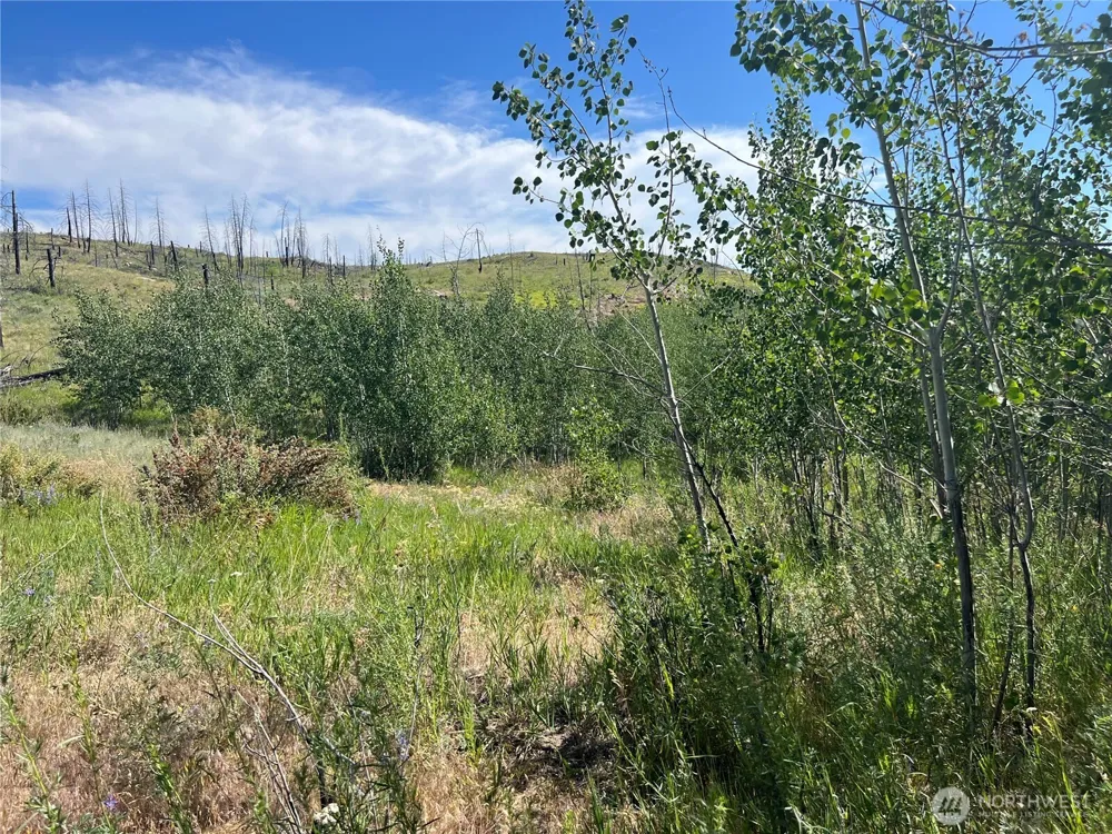 0 Lot 12 Lone Spur Road Oroville, WA 98844