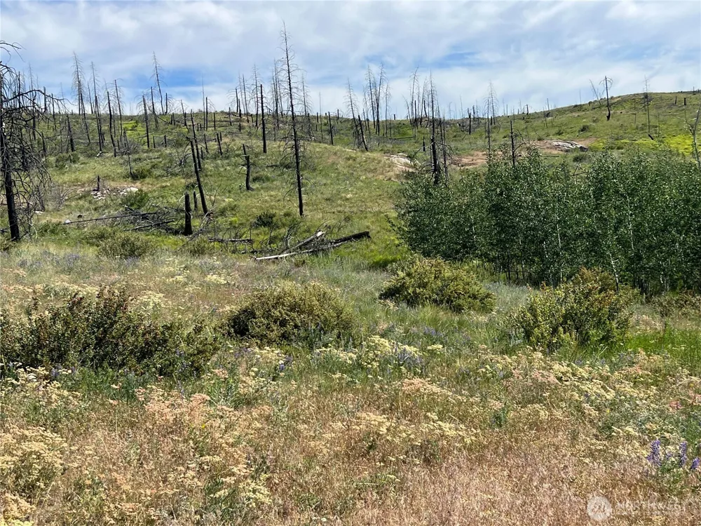 0 Lot 12 Lone Spur Road Oroville, WA 98844