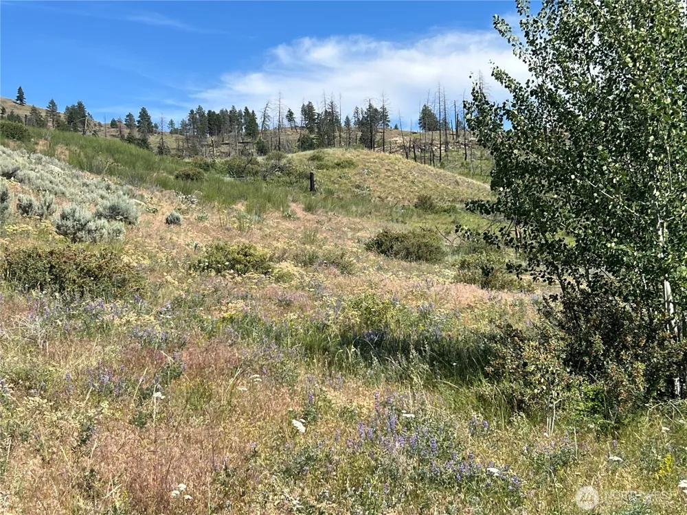 0 Lot 12 Lone Spur Road Oroville, WA 98844