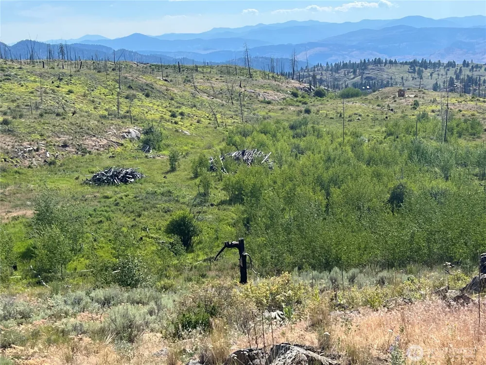 0 Lot 12 Lone Spur Road Oroville, WA 98844