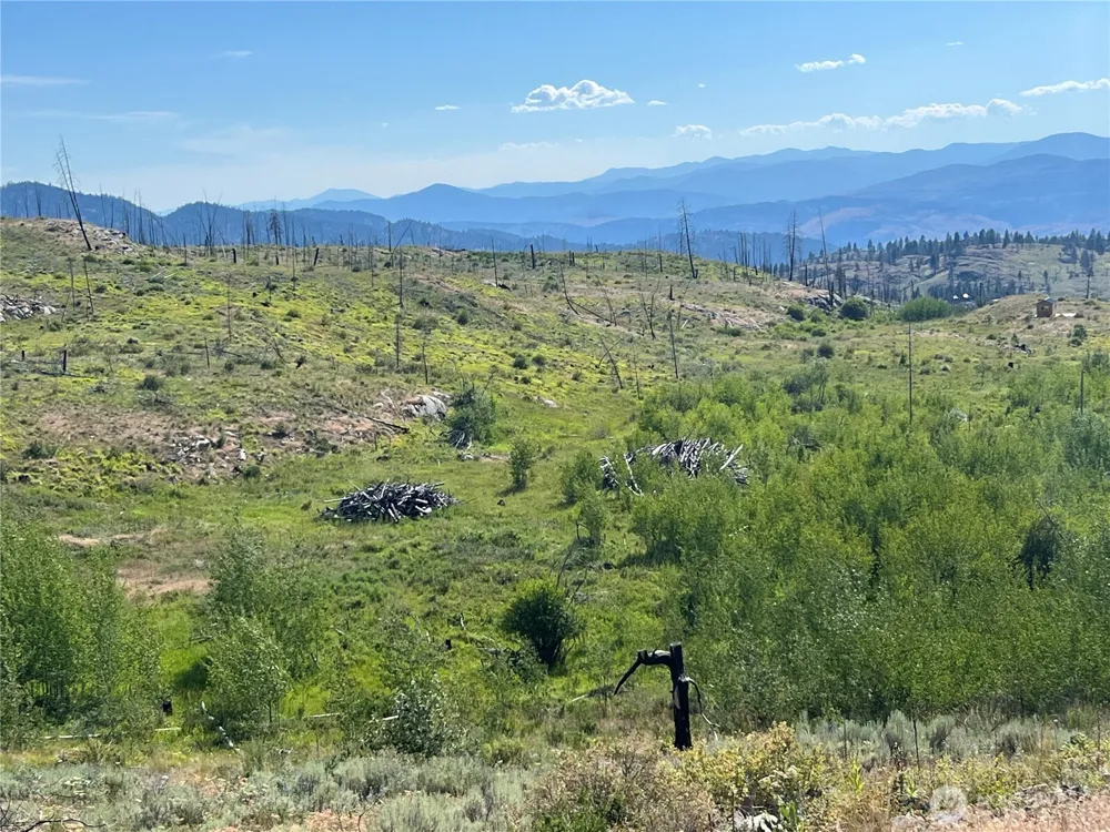 0 Lot 12 Lone Spur Road Oroville, WA 98844
