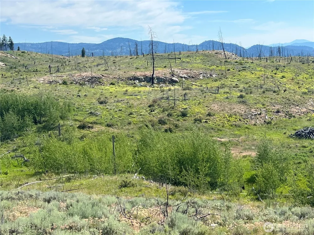 0 Lot 12 Lone Spur Road Oroville, WA 98844