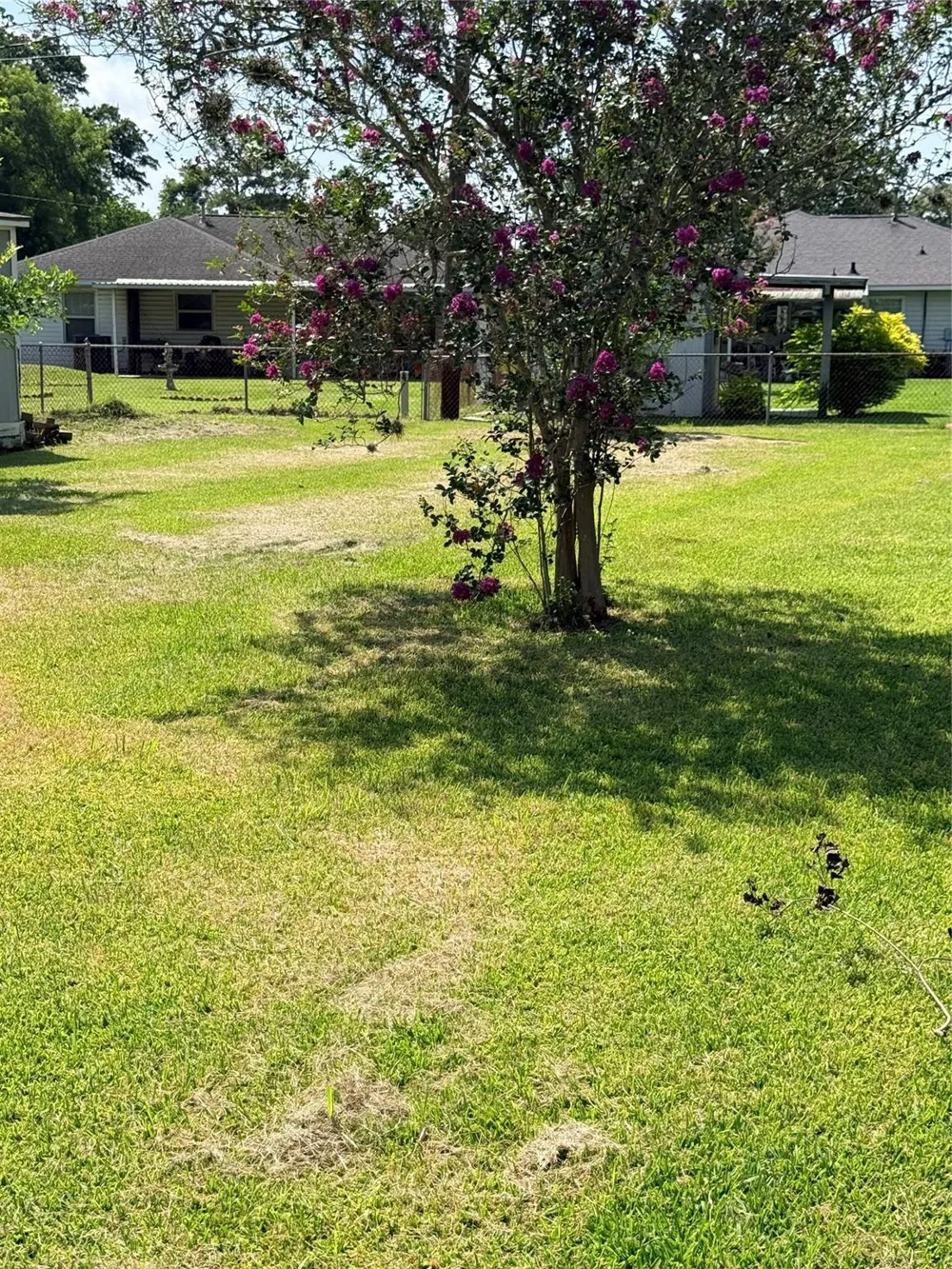 305 Wisteria Street Lake Jackson, TX 77566