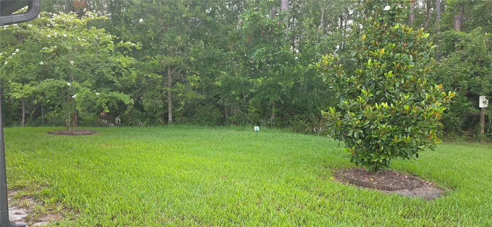 16 PINNACLE PLACE Bunnell, FL 32110