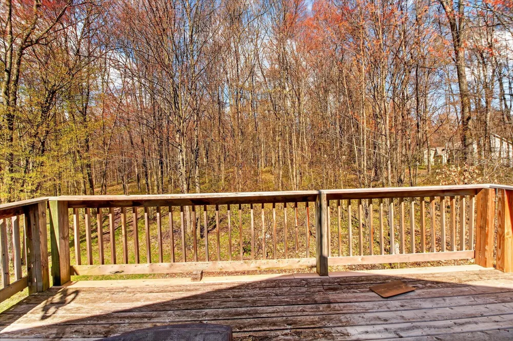 17099 Sierra Drive Colfax Township, MI 49307