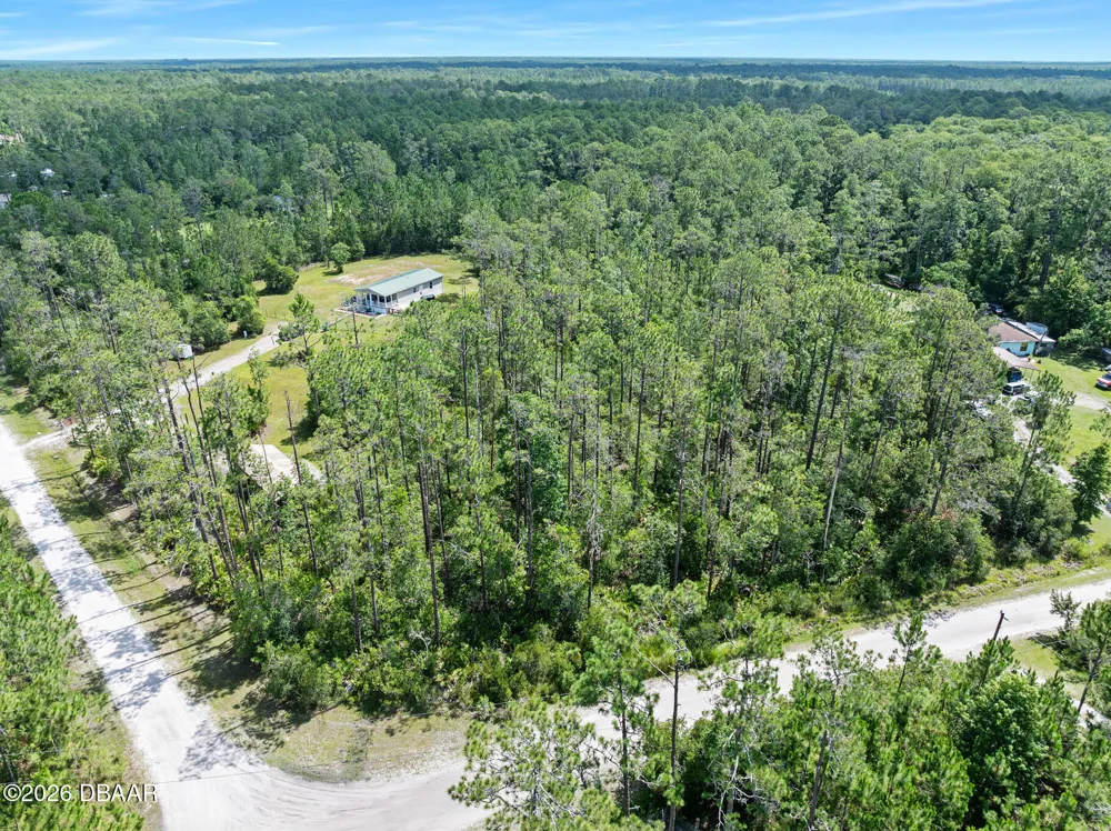 3658 Plantation Drive Ormond Beach, FL 32174