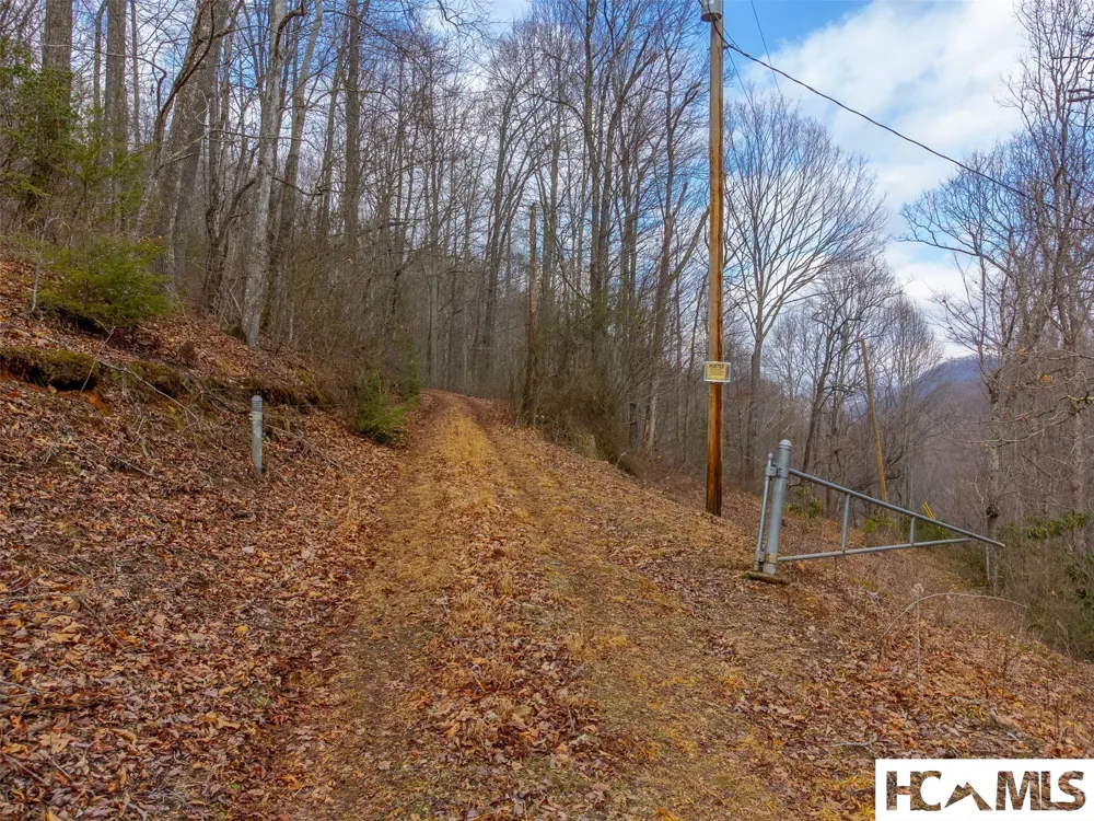 1241* Henry Road Franklin, NC 28734