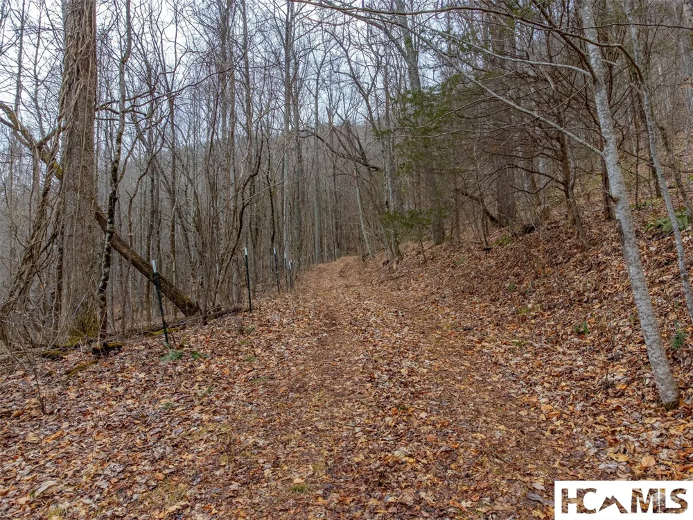 1241* Henry Road Franklin, NC 28734
