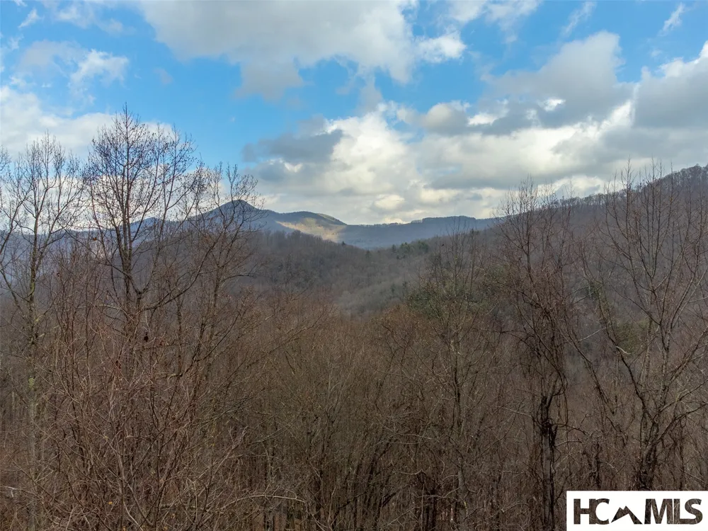 1241* Henry Road Franklin, NC 28734