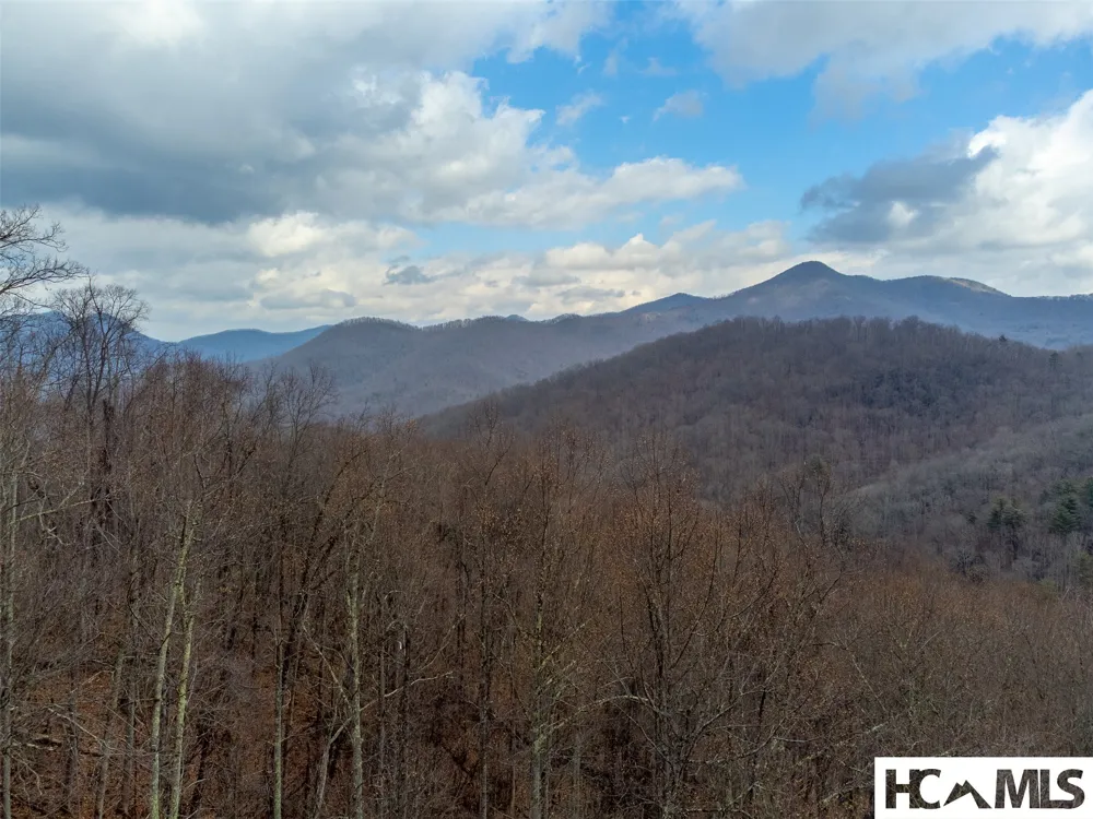 1241* Henry Road Franklin, NC 28734