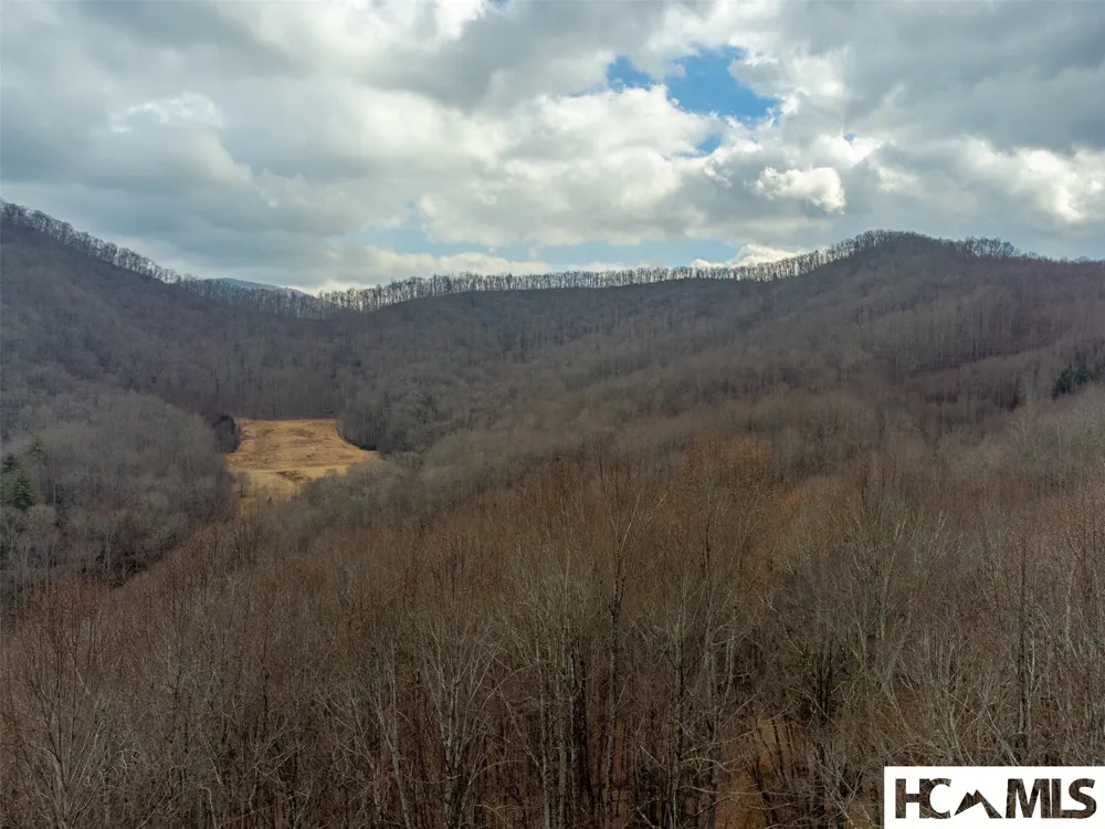 1241* Henry Road Franklin, NC 28734