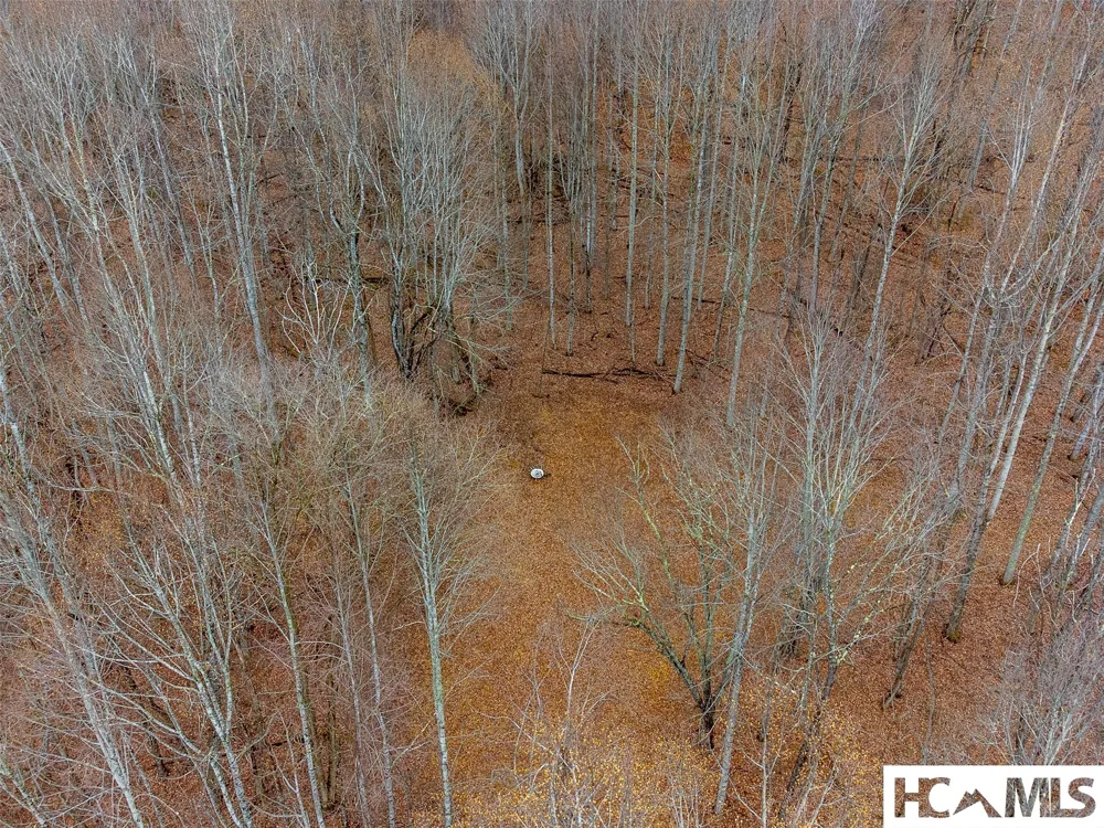 1241* Henry Road Franklin, NC 28734