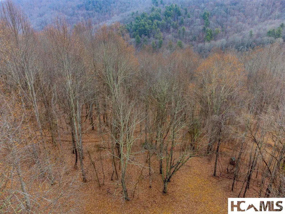 1241* Henry Road Franklin, NC 28734