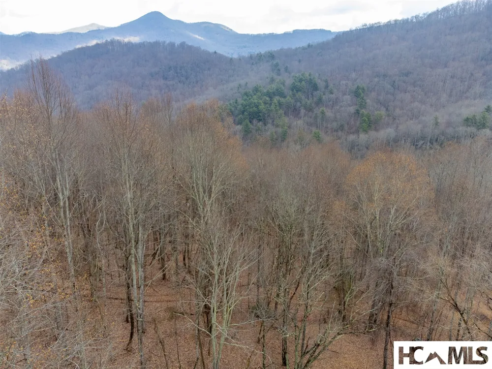 1241* Henry Road Franklin, NC 28734