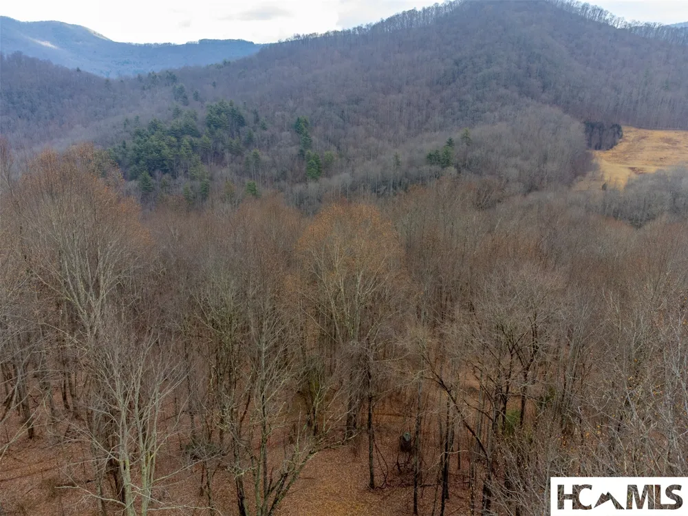 1241* Henry Road Franklin, NC 28734