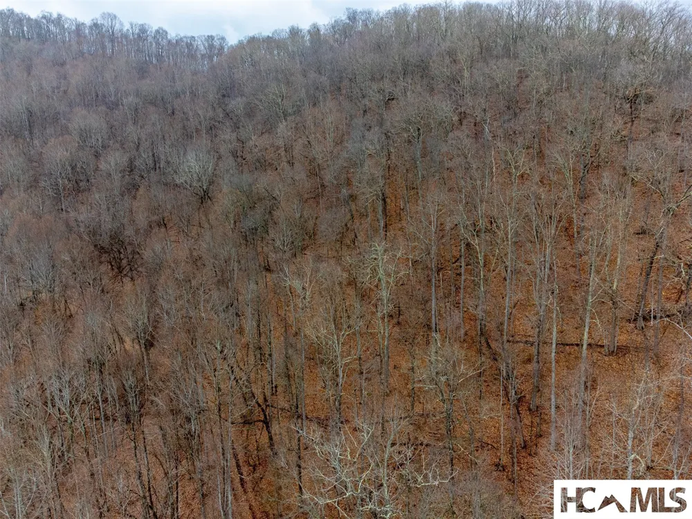1241* Henry Road Franklin, NC 28734