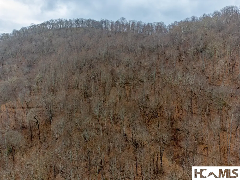 1241* Henry Road Franklin, NC 28734