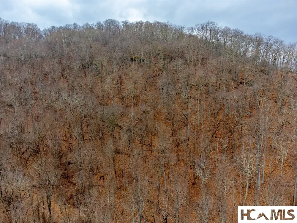 1241* Henry Road Franklin, NC 28734